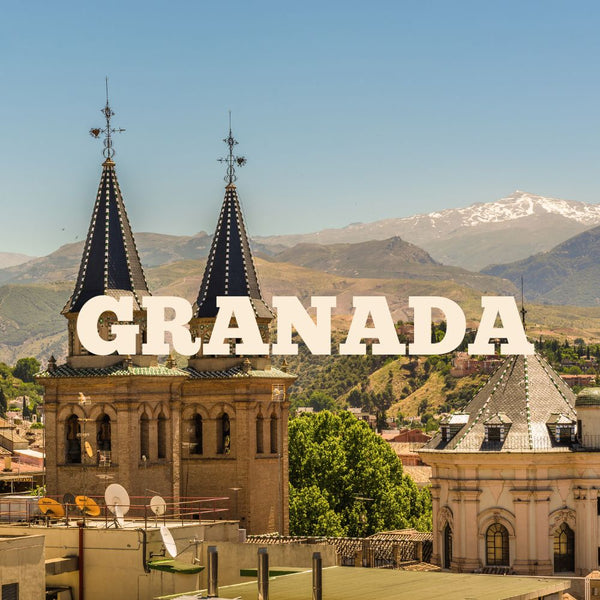 Granada Tour Guide